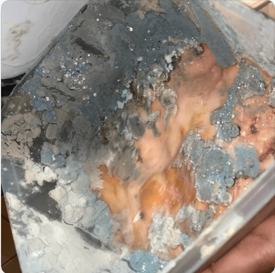 Onomatopoeia playlist artwork